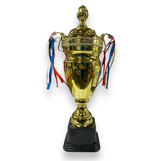SP2066 Metal Trophy