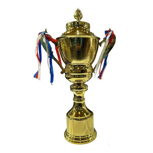 SP2014 Metal Trophy